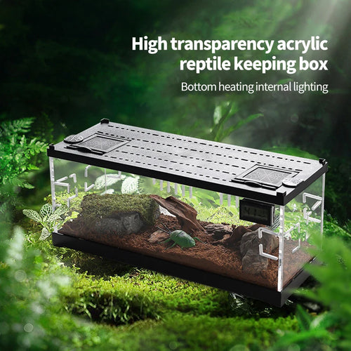 Acrylic Reptile Box Small Lighting Heating Escape-proof Hermit Crab Hamster Cage Breeding Tank Climbing Pet Breeding Boxes